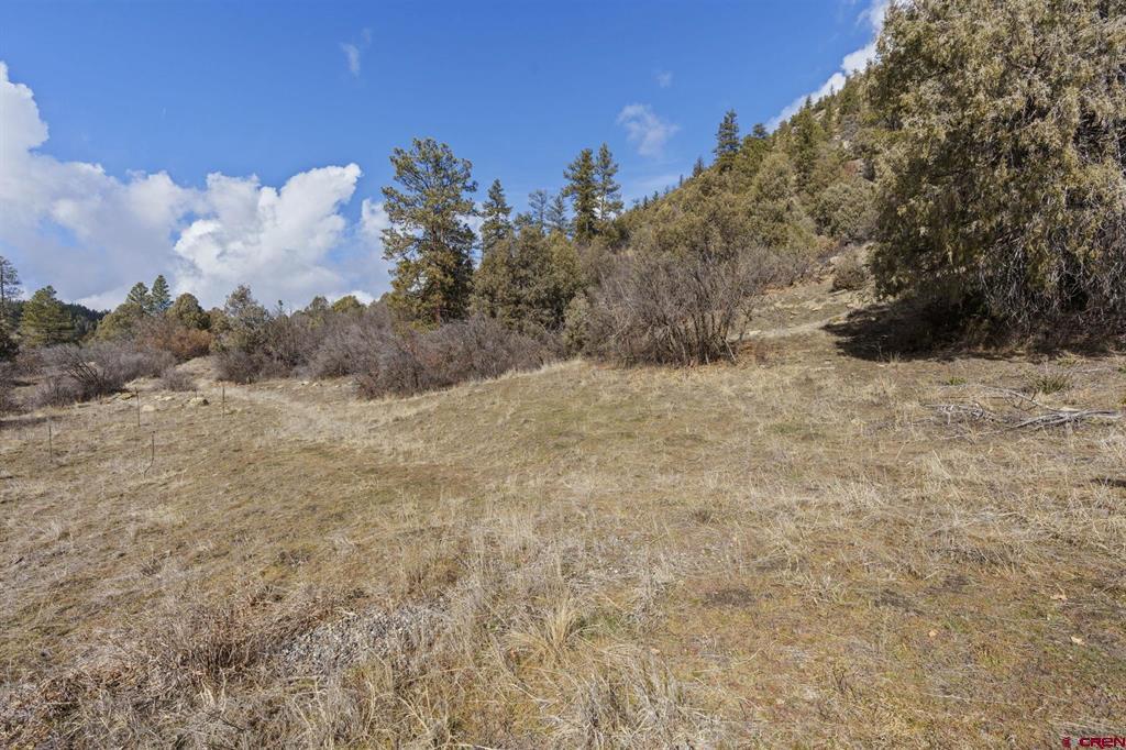 24800 Us Highway 160