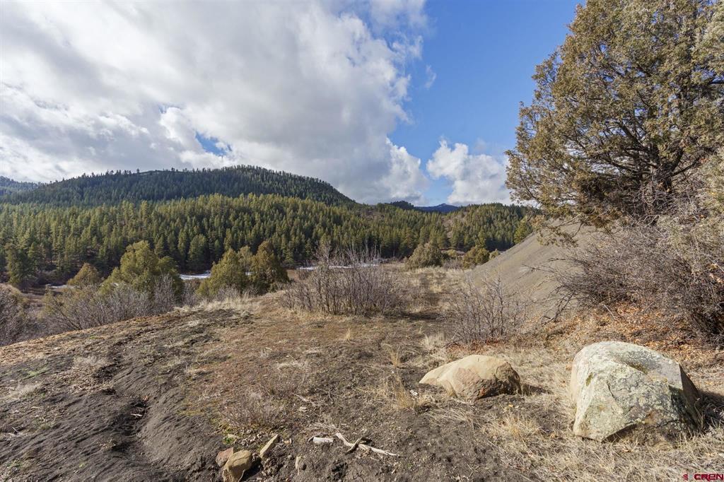 24800 Us Highway 160