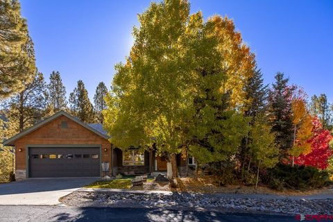 163 El Diente Drive Durango CO 81301