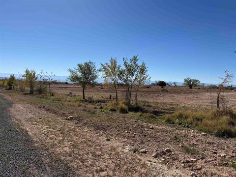 Photo of 8 Stardust Lane, Cedaredge, CO 81413 (MLS # 829674)