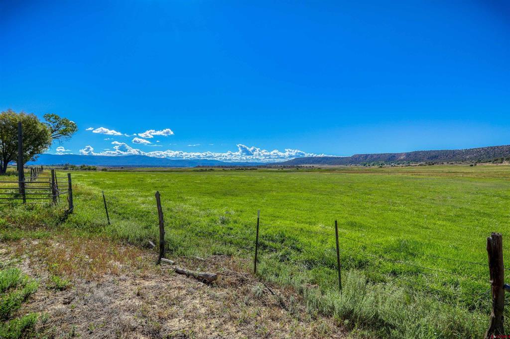 1204 County Road 332