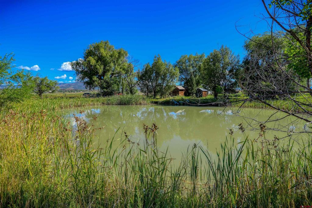 1204 County Road 332