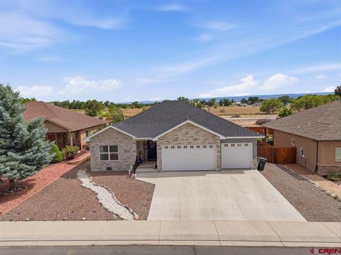 Photo of 1460 Criterion Street, Delta, CO 81416 (MLS # 836567)