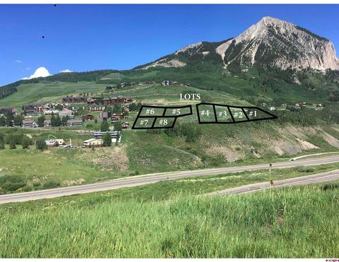 45-4 Hunter Hill Rd Road Mt. Crested Butte CO 81225