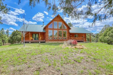Photo of 416 Yarrow Circle, Pagosa Springs, CO 81147 (MLS # 833470)