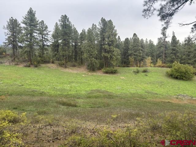 182 Little Bear Drive