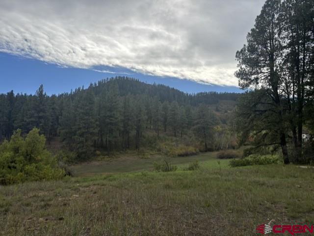 182 Little Bear Drive