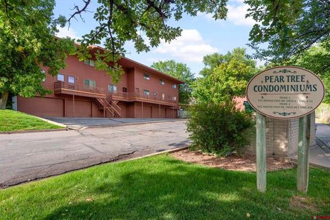 543 Animas View Drive 19 Durango CO 81301