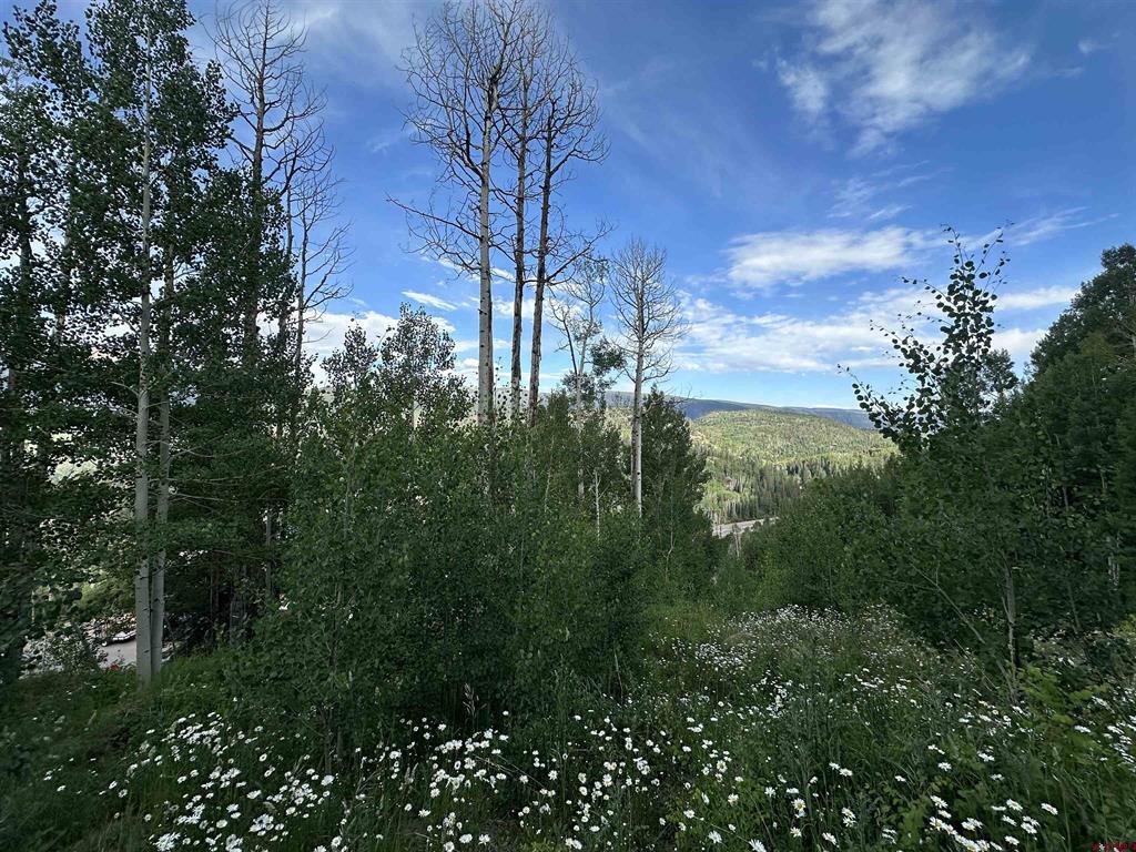 162 Double Diamond Drive