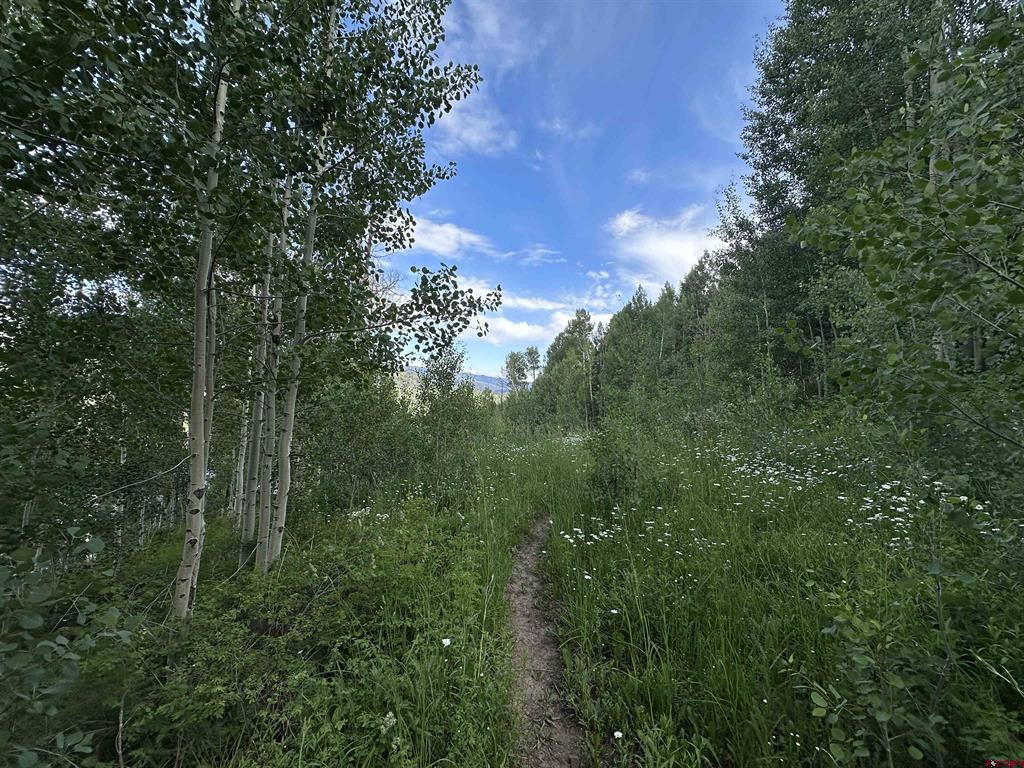 162 Double Diamond Drive