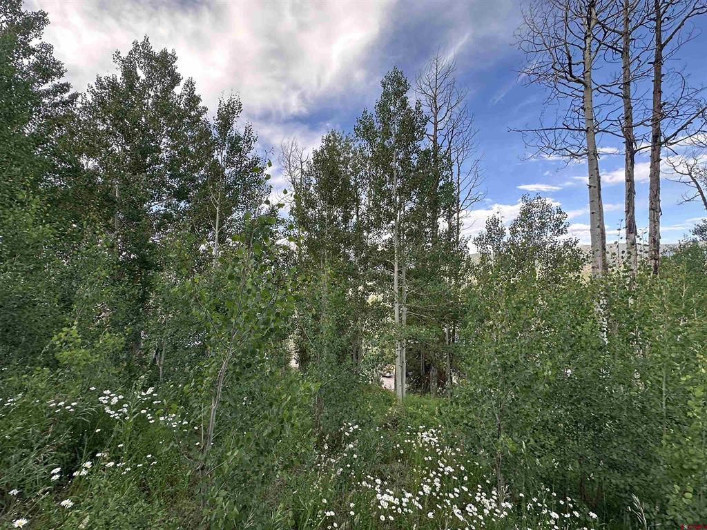 162 Double Diamond Drive