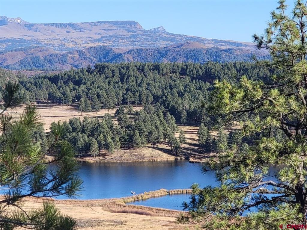 21 Echo Lake Access Easement
