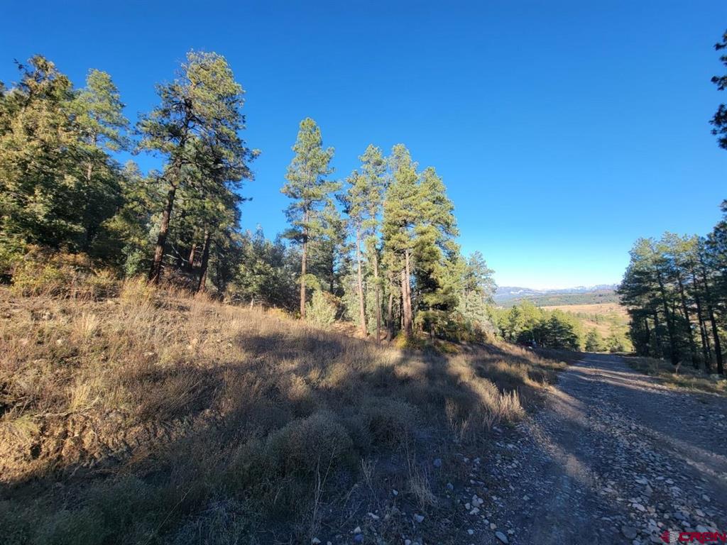 21 Echo Lake Access Easement