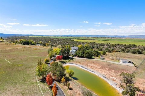 1041 County Road 307 Durango CO 81303
