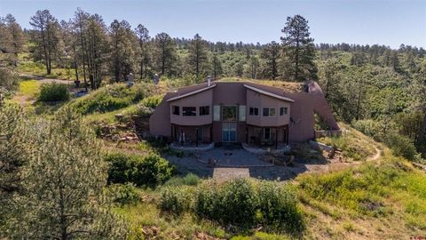 235 Rimview Court Pagosa Springs CO 81147