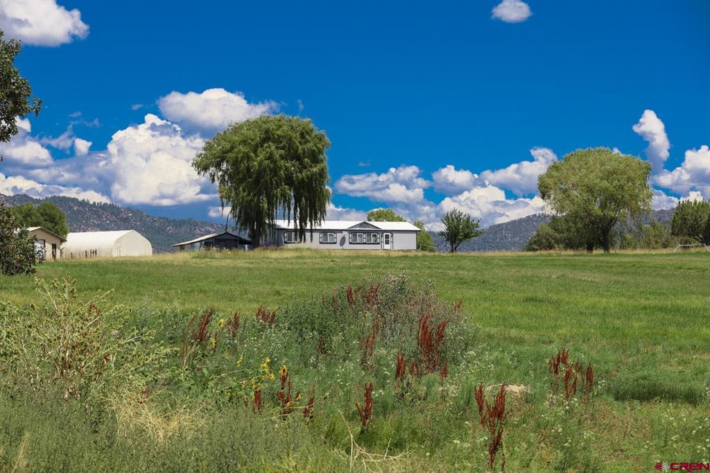 1019 County Road 330