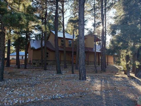 Photo of 486 N Pagosa Boulevard, Pagosa Springs, CO 81147 (MLS # 831339)