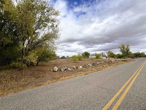 Photo of TBD Fairview (2007 Rd) Road, Austin, CO 81410 (MLS # 829919)