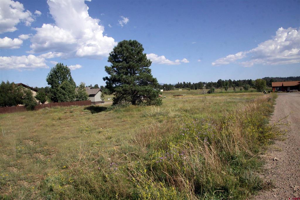 Photo 1 of 34 — 49 Paradise Drive, Pagosa Springs, CO 81147