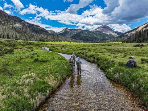 2418 USFS Rd 526 Creede CO 81130