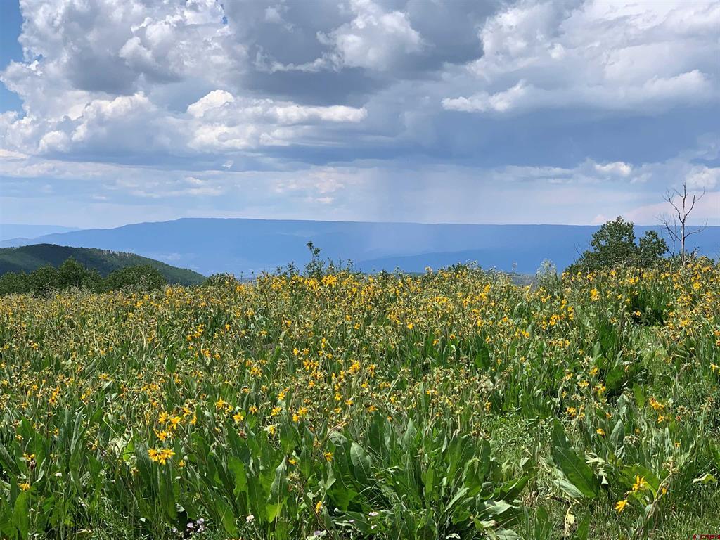128-1 G National Forest road