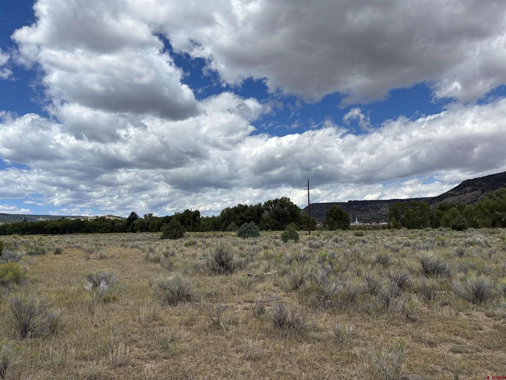 TBD Conejos River Trails