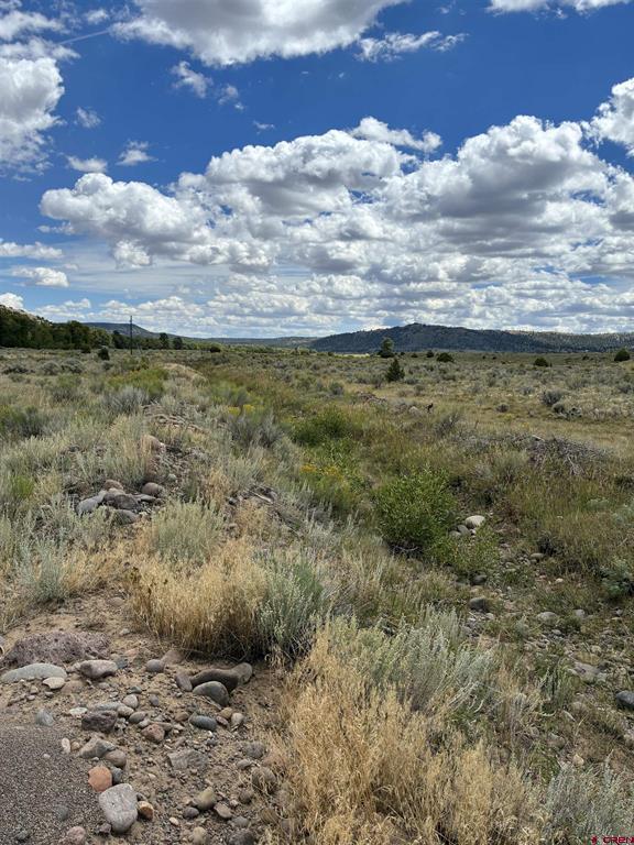 TBD Conejos River Trails