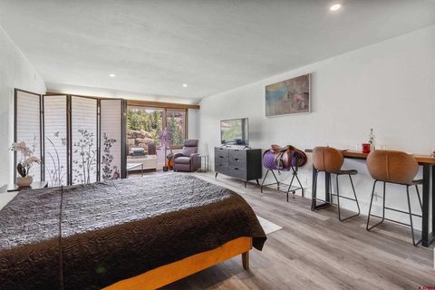 314 N Tamarron Dr 331 Durango CO 81301