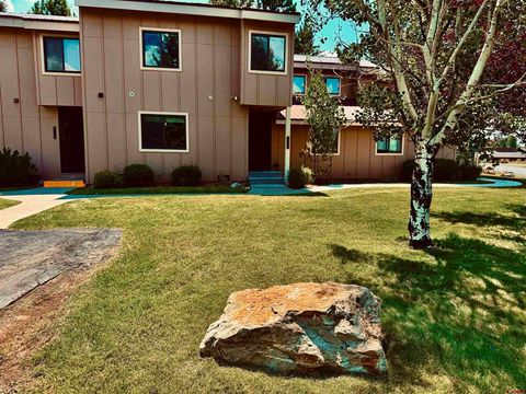 145 Davis Cup Drive 4029 Pagosa Springs CO 81147