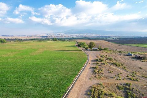 4121 Sundown Road Delta CO 81416