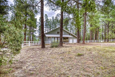 1335 Shenandoah Drive Pagosa Springs CO 81147