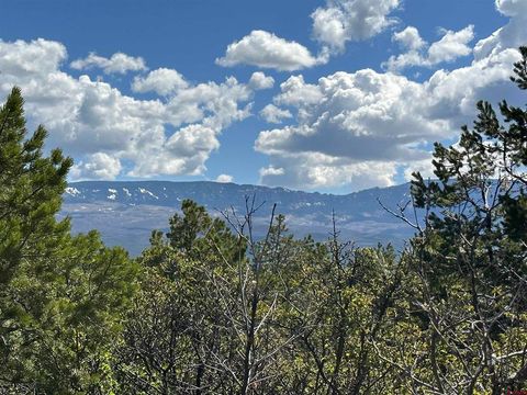 Lot 69 Pinon East Road Ridgway CO 81432