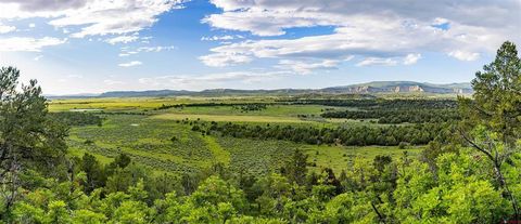 24374 US 84 Highway Tierra Amarilla NM 87575