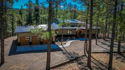 230 Maverick Drive Pagosa Springs CO 81147