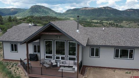 767 Henry's Lake Drive Pagosa Springs CO 81147