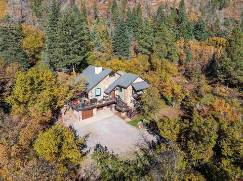 8557 Falls Creek Main Durango CO 81301
