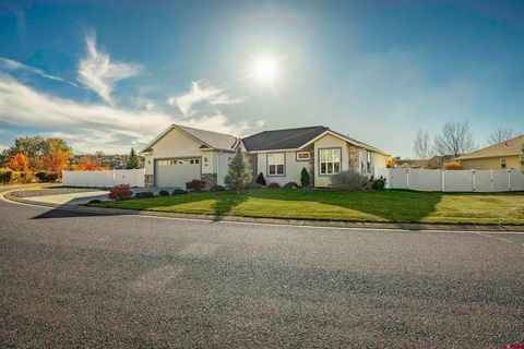 63225 Lavender Circle Montrose CO 81403