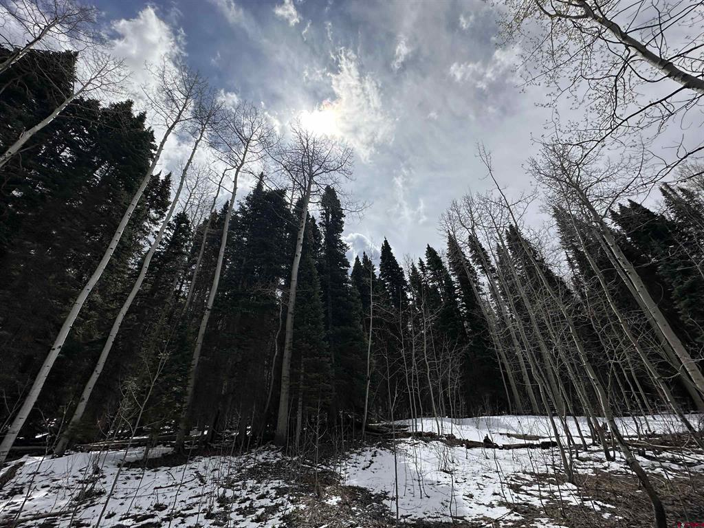 Tbd Forest Service Road 814