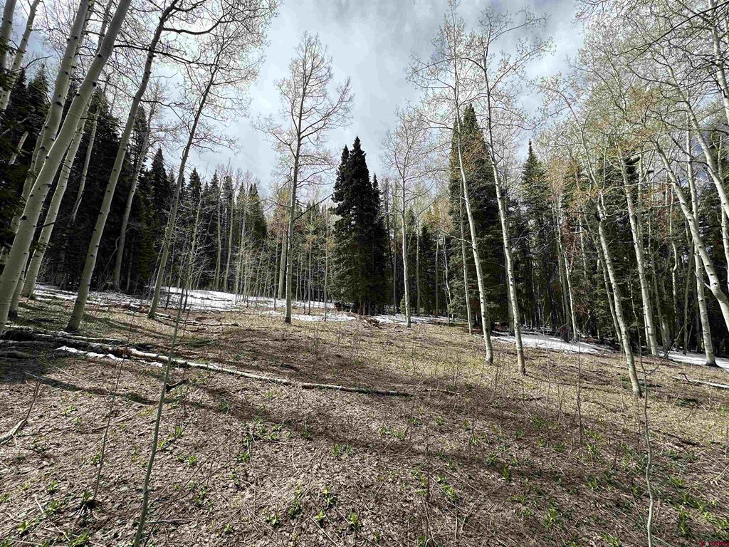 Tbd Forest Service Road 814
