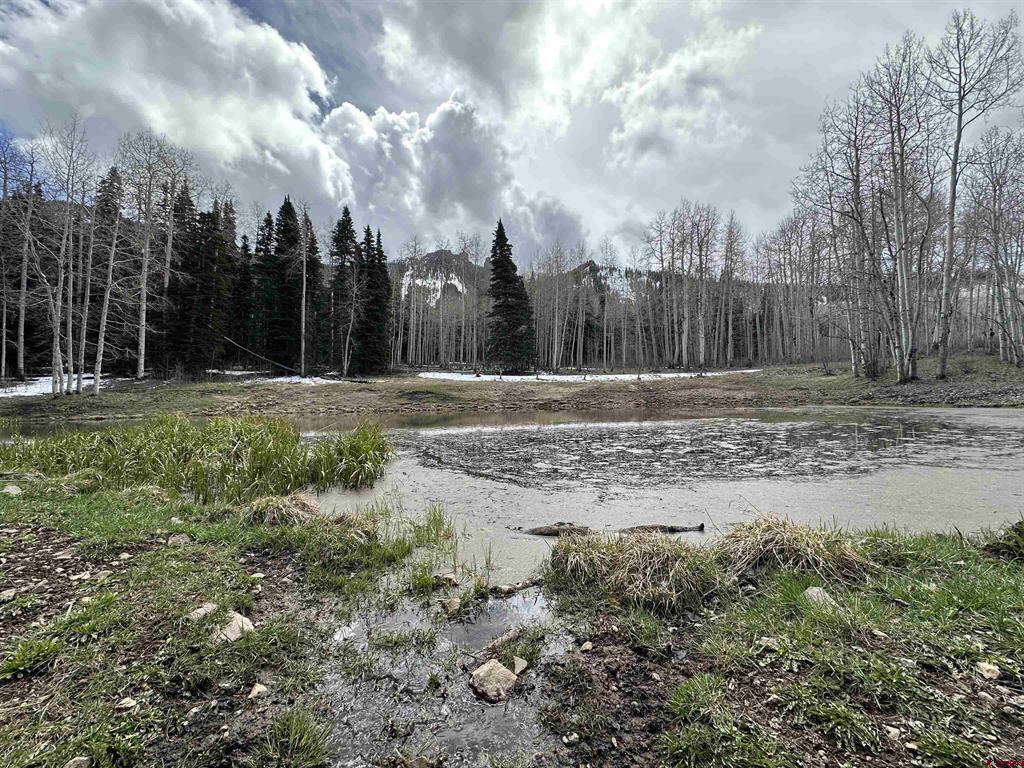 Tbd Forest Service Road 814