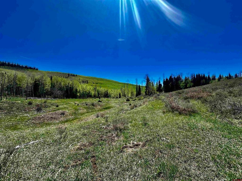Tbd Forest Service Road 814