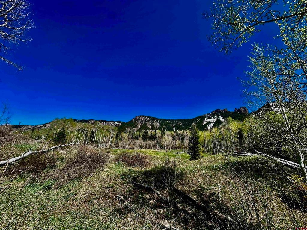 Tbd Forest Service Road 814