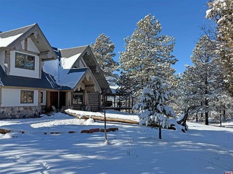Photo of 219 S Cougar Ct, Pagosa Springs, CO 81147 (MLS # 832024)