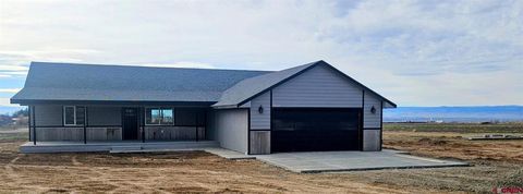 20224 Lilac Court Eckert CO 81418