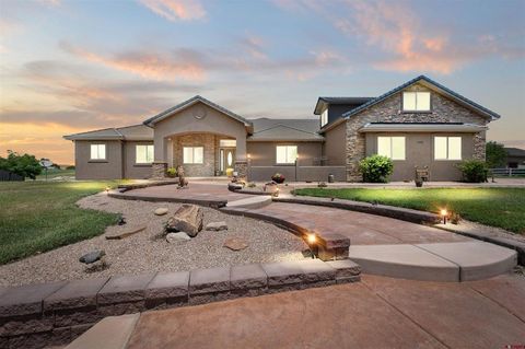 1306 Gold Lake Drive Drive Loma CO 81524