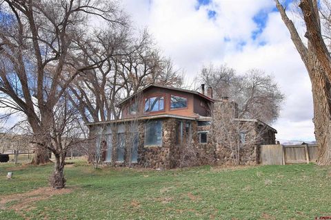 27459 Cedar Mesa Road Cedaredge CO 81413