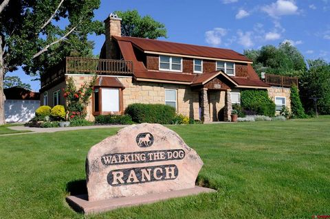 18173 Road 22 Cortez CO 81321