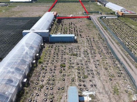 718 Silver Lane Moffat CO 81143