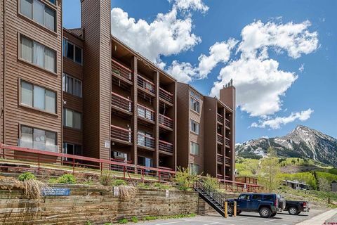 25 Emmons Road 37 Mt. Crested Butte CO 81225