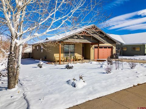 320 Star Crossing Bayfield CO 81122